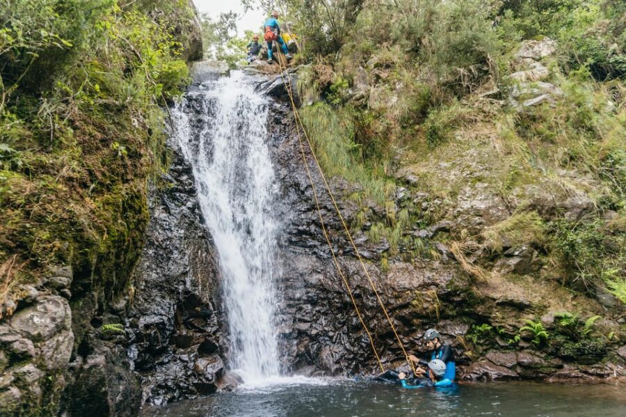 Funchal: Half-Day Beginner-Friendly Canyoning Experience - The Scenic Route and Natural Highlights