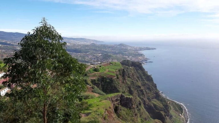 Funchal: Half-Day South Madeira Island Private Tour - Who Will Love This Tour?
