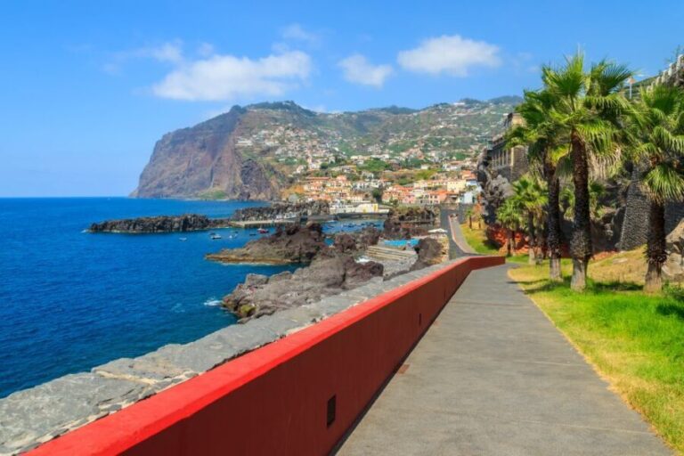 Funchal: Hop-On Hop-Off Bus Tour - Transportation and Accessibility