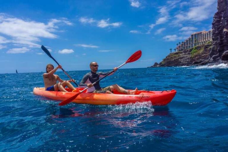 Funchal: KAYAK Rental or Guided tour with snorkeling - The Itinerary in Detail