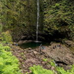 Funchal: Levada Caldeirão Verde Waterfalls and Forests Hike - Key Points
