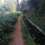 Funchal : Levada do Norte - Guided walk with transport - The Itinerary Breakdown
