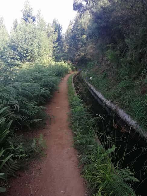 Funchal : Levada do Norte - Guided walk with transport - The Itinerary Breakdown