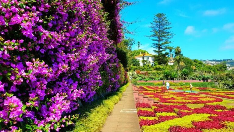 Funchal: Madeira Botanical Garden Tuk-Tuk Tour + Old Town - The Itinerary in Detail