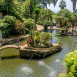 Funchal: Monte Palace Tropical Gardens Tuk Tuk Tour - The Ride Up: Views and Narrow Streets