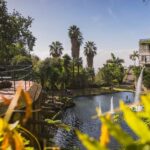 Funchal: Monte Tropical Garden & Toboggan Ride by Tuk Tuk - The Real Experience: What Travelers Say