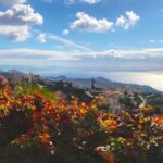 Funchal: Northern Levada Walking Tour - The Itinerary Breakdown