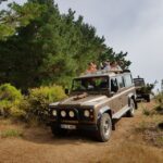 Funchal: Pico Arieiro, Cristo Rei and Dolphins Watching - Scenic Drive and Off-Road Adventure