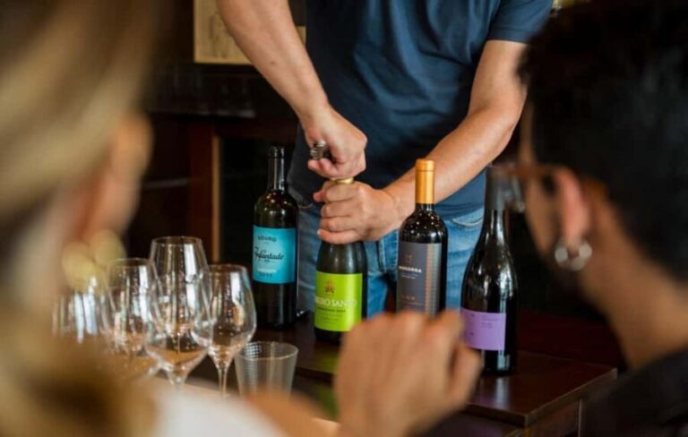 Funchal: Portuguese Wine Tasting with Sommelier - The Wines and Their Significance