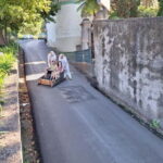 Funchal: Private Cable Car, Toboggan, and Skywalk Tour - The Highlights in Detail