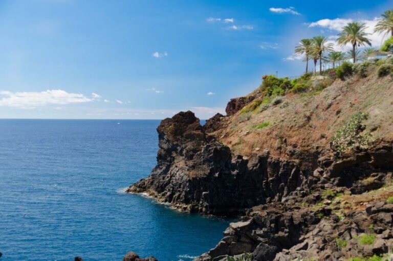 Funchal: Private Walking Tour with a Local - What to Expect During the Tour