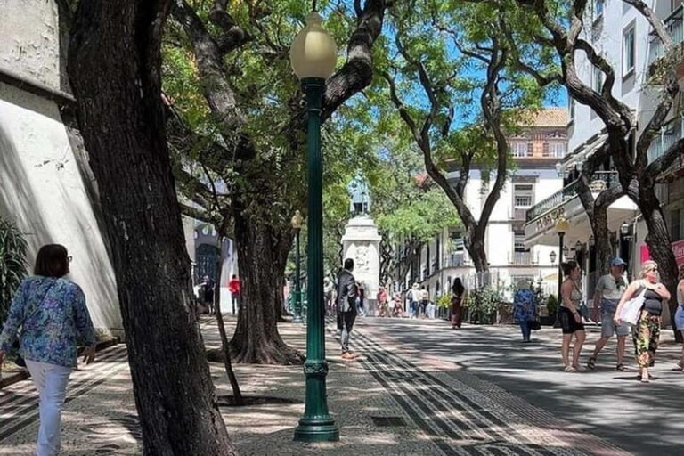 Funchal: Quick & Fun 30-Minute Tuk Tuk Tour with Local Guide - Final Thoughts