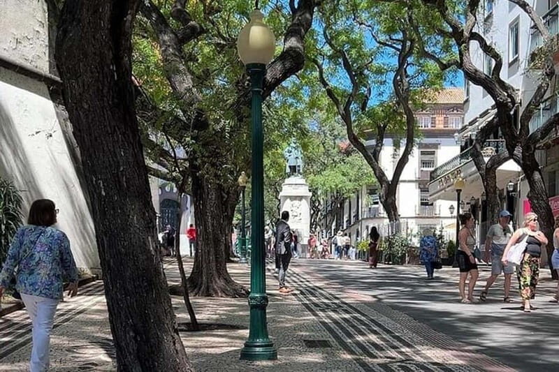 Funchal: Quick & Fun 30-Minute Tuk Tuk Tour with Local Guide - Final Thoughts