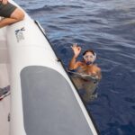 Funchal: RIB Whale Watching Cruise and Optional Dolphin Swim - The Value of This Marine Adventure