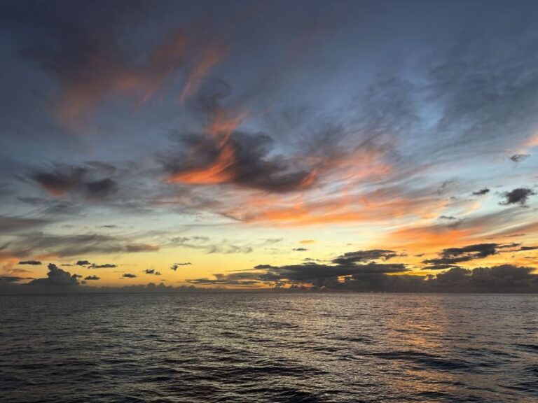 Funchal: Sunrise Private Sailing Trip with Breakfast - The Itinerary & Experience