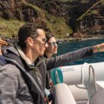 Funchal: Sunset over water by RIB boat +opt Dolphin/Whale - Final Thoughts