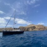 Funchal: Sunset Sailing Private Tour - The Itinerary – What to Expect During the 2 Hours