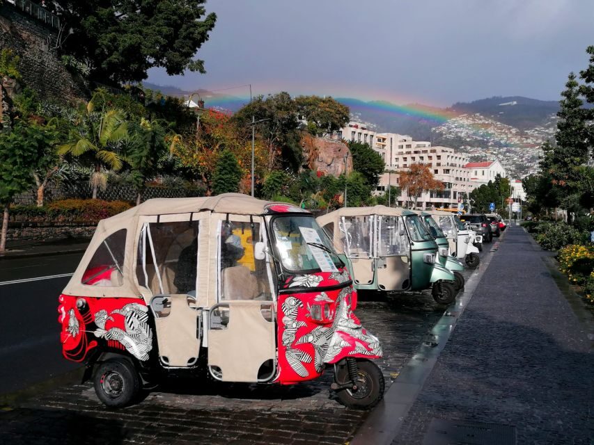 Funchal: Tuk Tuk Ride to Monte Funchal Toboggans - What makes this tour stand out?