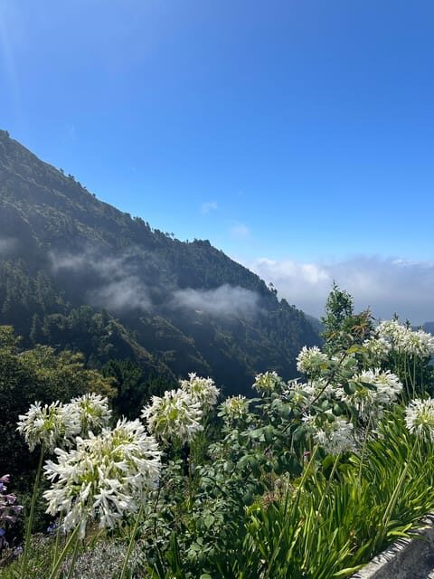 Funchal: Valley of the Nuns tour by tuk tuk - What’s Included and What’s Not