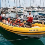 Funchal: Whale and Dolphin Watching Speed Boat Tour - The Itinerary: How the Day Unfolds