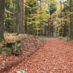 Fünf Seidla Steig ® Beer Hike Food Experience Private Tour (departs Nuremberg) - Who Would Love This Tour?