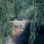 Furnas: Night-Time Experience with Thermal baths and Dinner - Key Points