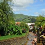 Furnas: Tea Plantations, Lake and Volcano Guided Tour - What the Experience Feels Like