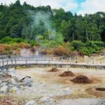 Furnas Volcano Experience  Nature, Hot Springs & Scenic Views - How the Tour Works in Practice