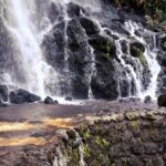 Furnas Volcano Wonders, Tea Plantation & Waterfall Tour - Starting Point and Transportation