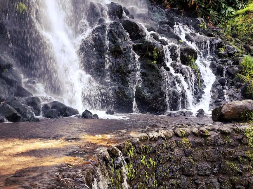 Furnas Volcano Wonders, Tea Plantation & Waterfall Tour - Starting Point and Transportation