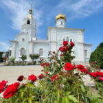 Gagauzia: day tour in Gagauzia and Manuc Bei Mansion - Transportation, Group Size, and Overall Value