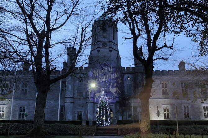 Galway Historic city Tour - 2.5hr Family & Friends Private groups - Why You’ll Love This Tour