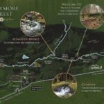 Game of Thrones - Tollymore Forest Trek - What’s Included and What to Expect