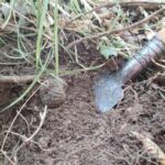 Gaon - Istria: Truffle Hunting Tour in Slovenia - The Experience: What to Expect