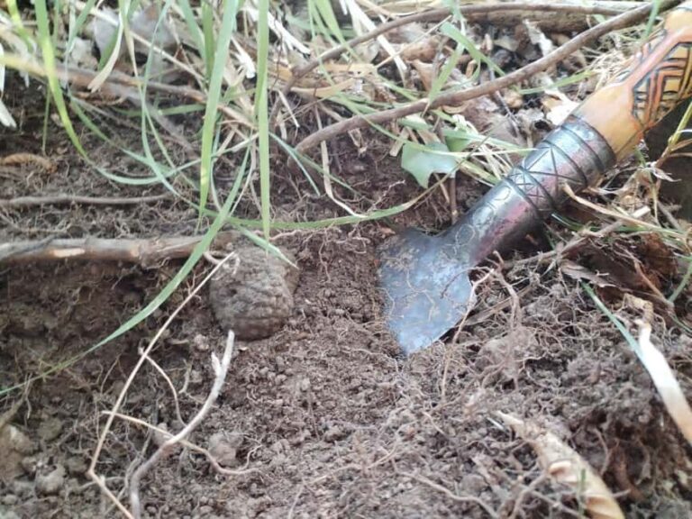 Gaon - Istria: Truffle Hunting Tour in Slovenia - The Experience: What to Expect