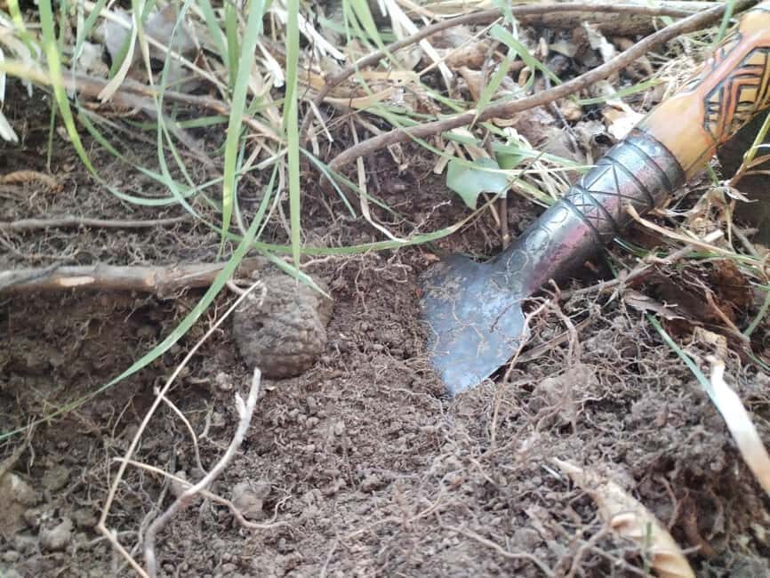 Gaon - Istria: Truffle Hunting Tour in Slovenia - The Experience: What to Expect