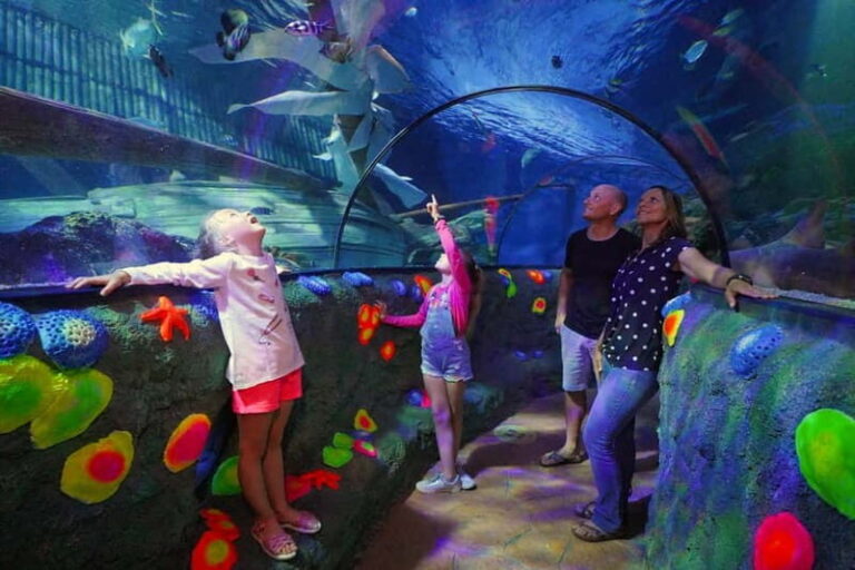 Gardaland SEA LIFE Aquarium: Open Date Entry Ticket - The Experience in Detail