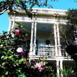 Garden District Walking Tour of New Orleans - Who Will Love This Tour?