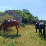 Gargano National Park: horseback riding - Key Points