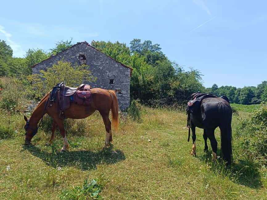 Gargano National Park: horseback riding - Key Points