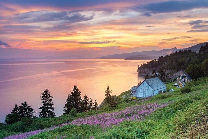 Gaspe 3DAY Trip - What Travelers Say: Honest Feedback