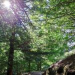 Gastro hike (Private Tour) - An In-Depth Look at the Gastro Hike Experience