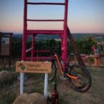 Gavi: E-Bike Tour with Wine Tasting - What’s in it for you?