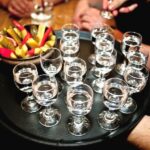 Gdansk: 4-hour Polish Vodka Tour - Who Should Consider This Tour?