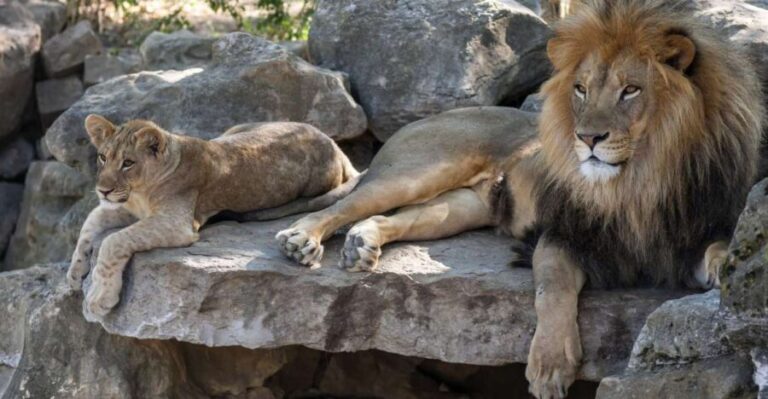 Gdansk: Oliwa Zoo with Tickets and Roundtrip Transportation - Practical Details and What You Need to Know