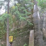 Gdansk: Private Wolf's Lair Tour - The Experience on the Ground