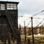 Gdansk: Stutthof Concentration Camp Regular Tour - The Convenience of Pickup and Transportation