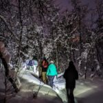 Geilo: Evening family tour with sledge, campfire and fun! - Who Is This Tour Best For?