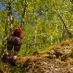 Geiranger: Rappelling tour with epic view - Value and Booking Considerations