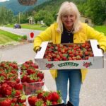 Geiranger-Trollstigen Private Guided Shore Excursion - A Detailed Look at the Itinerary